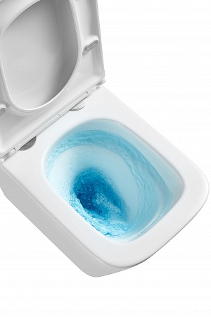 Подвесной унитаз безободковый Terminus Ватикан Monolit 490х340 белый Рязань - фото 8