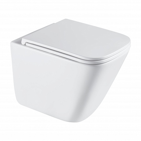 Подвесной унитаз безободковый Terminus Ватикан Monolit 490х340 белый Рязань - фото 2