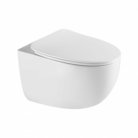 Подвесной унитаз безободковый Terminus Енисей Monolit 560х390 белый Рязань - фото 2