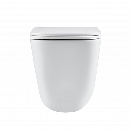 Подвесной унитаз безободковый Terminus Ватикан Monolit 490х340 белый Рязань - фото 6