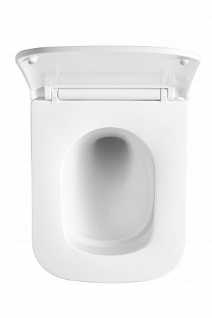 Подвесной унитаз безободковый Terminus Ватикан Monolit 490х340 белый Рязань - фото 3